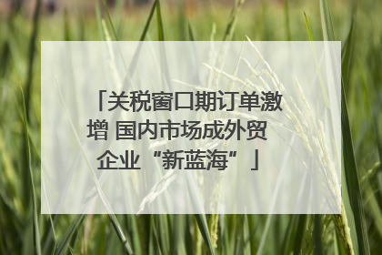 关税窗口期订单激增 国内市场成外贸企业“新蓝海”