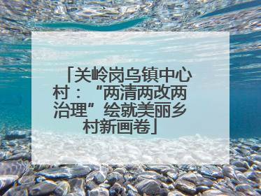 关岭岗乌镇中心村：“两清两改两治理”绘就美丽乡村新画卷