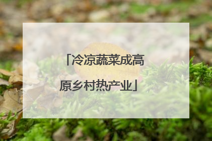 冷凉蔬菜成高原乡村热产业