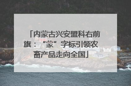 内蒙古兴安盟科右前旗：“蒙”字标引领农畜产品走向全国