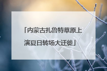 内蒙古扎鲁特草原上演夏日转场大迁徙