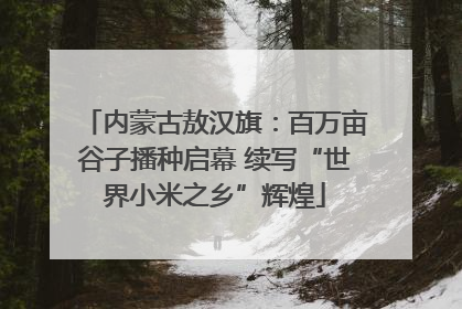 内蒙古敖汉旗：百万亩谷子播种启幕 续写“世界小米之乡”辉煌