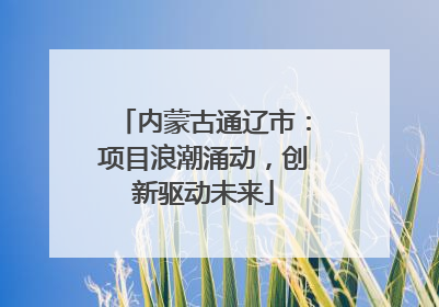 内蒙古通辽市：项目浪潮涌动，创新驱动未来