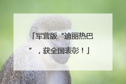 军营版“迪丽热巴”，获全国表彰！