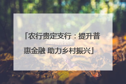农行贵定支行：提升普惠金融 助力乡村振兴