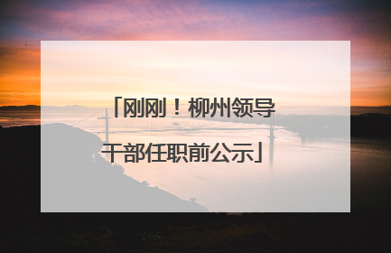 刚刚！柳州领导干部任职前公示
