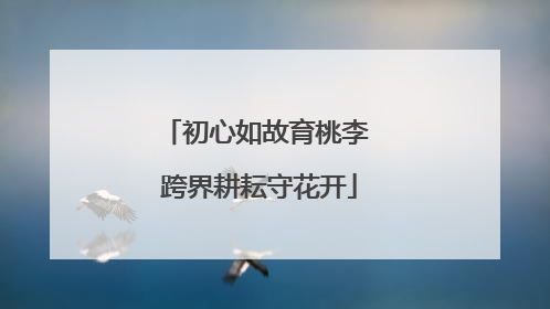 初心如故育桃李 跨界耕耘守花开