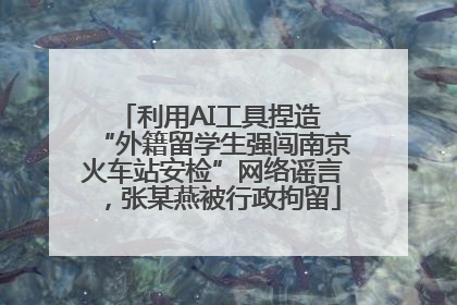 利用AI工具捏造 “外籍留学生强闯南京火车站安检”网络谣言，张某燕被行政拘留