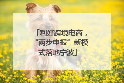 利好跨境电商，“两步申报”新模式落地宁波