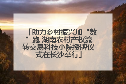 助力乡村振兴加“数”跑 湖南农村产权流转交易科技小院授牌仪式在长沙举行