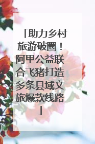 助力乡村旅游破圈！阿里公益联合飞猪打造多条县域文旅爆款线路