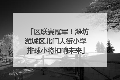 区联赛冠军！潍坊潍城区北门大街小学排球小将扣响未来