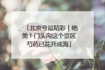 北京号最精彩｜绝美！门头沟这个景区芍药已花开成海
