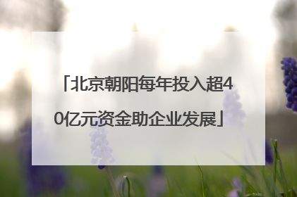 北京朝阳每年投入超40亿元资金助企业发展