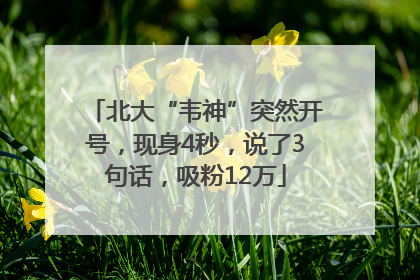 北大“韦神”突然开号，现身4秒，说了3句话，吸粉12万