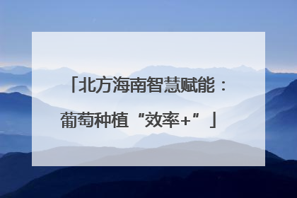 北方海南智慧赋能：葡萄种植“效率+”