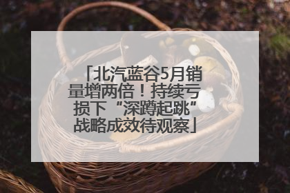 北汽蓝谷5月销量增两倍！持续亏损下“深蹲起跳”战略成效待观察