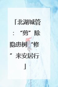 北湖城管：“剪”除隐患树“修”来安居行
