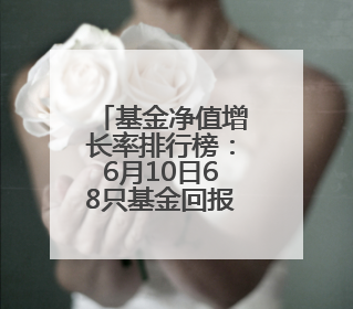 基金净值增长率排行榜：6月10日68只基金回报超2%