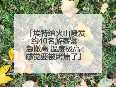 埃特纳火山喷发 约40名游客紧急撤离 温度极高感觉要被烤焦了
