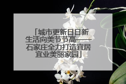 城市更新日日新 生活向美节节高——石家庄全力打造宜居宜业美丽家园