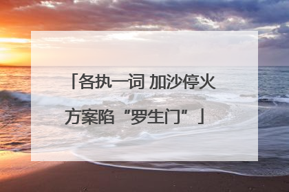 各执一词 加沙停火方案陷“罗生门”