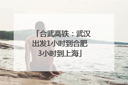 合武高铁：武汉出发1小时到合肥3小时到上海