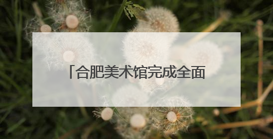 合肥美术馆完成全面验收，正筹备首展