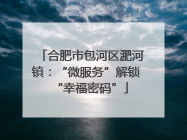 合肥市包河区淝河镇：“微服务”解锁“幸福密码”