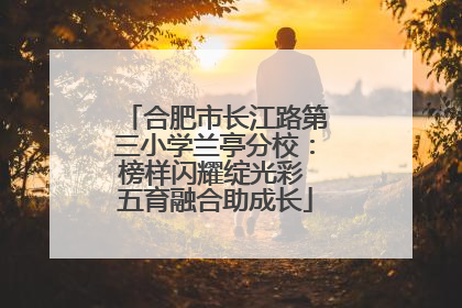 合肥市长江路第三小学兰亭分校：榜样闪耀绽光彩 五育融合助成长