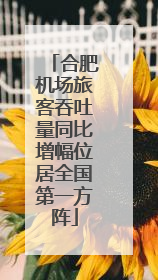 合肥机场旅客吞吐量同比增幅位居全国第一方阵