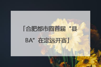 合肥都市圈首届“县BA”在定远开赛