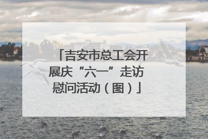 吉安市总工会开展庆“六一”走访慰问活动（图）