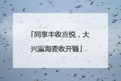 同享丰收喜悦，大兴瀛海麦收开镰