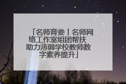 名师育娄丨名师网络工作室组团帮扶 助力薄弱学校教师数字素养提升