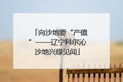 向沙地要“产值”——辽宁科尔沁沙地兴绿见闻