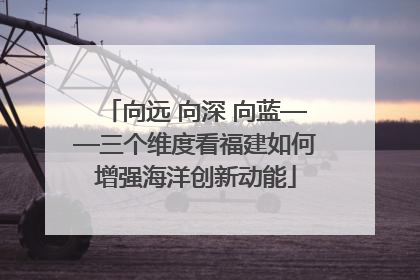 向远 向深 向蓝——三个维度看福建如何增强海洋创新动能