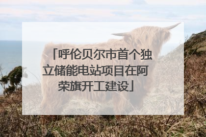 呼伦贝尔市首个独立储能电站项目在阿荣旗开工建设
