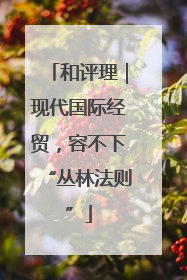 和评理｜现代国际经贸，容不下“丛林法则”