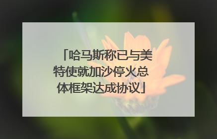 哈马斯称已与美特使就加沙停火总体框架达成协议