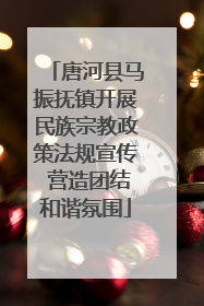 唐河县马振抚镇开展民族宗教政策法规宣传 营造团结和谐氛围