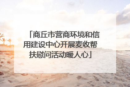 商丘市营商环境和信用建设中心开展麦收帮扶慰问活动暖人心