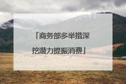 商务部多举措深挖潜力提振消费