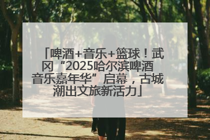 啤酒+音乐+篮球！武冈“2025哈尔滨啤酒音乐嘉年华”启幕，古城潮出文旅新活力