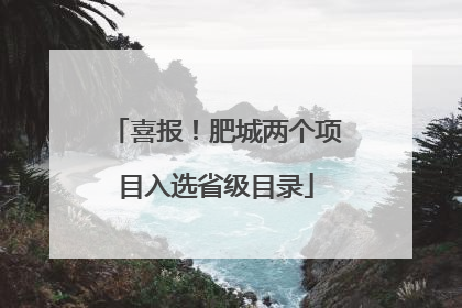 喜报！肥城两个项目入选省级目录