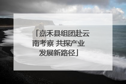 嘉禾县组团赴云南考察 共探产业发展新路径