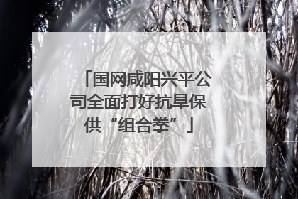 国网咸阳兴平公司全面打好抗旱保供“组合拳”