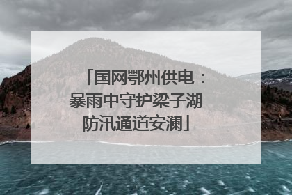 国网鄂州供电：暴雨中守护梁子湖防汛通道安澜
