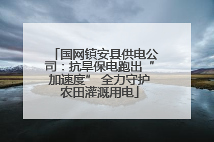 国网镇安县供电公司：抗旱保电跑出“加速度” 全力守护农田灌溉用电