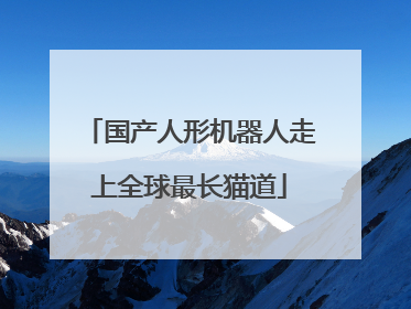 国产人形机器人走上全球最长猫道